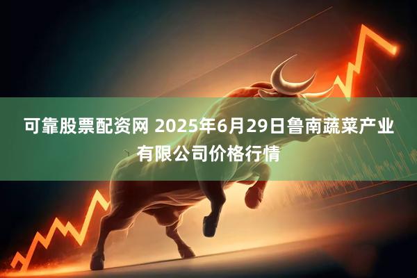 可靠股票配资网 2025年6月29日鲁南蔬菜产业有限公司价格行情