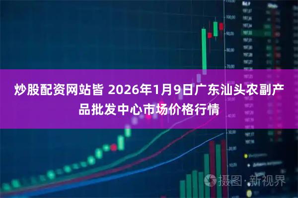 炒股配资网站皆 2026年1月9日广东汕头农副产品批发中心市场价格行情