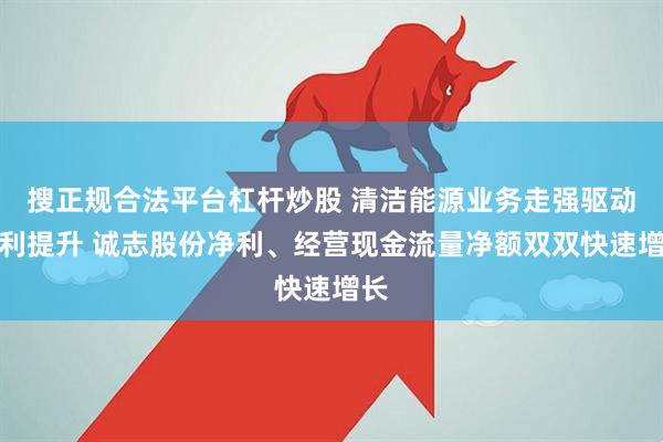 搜正规合法平台杠杆炒股 清洁能源业务走强驱动毛利提升 诚志股份净利、经营现金流量净额双双快速增长